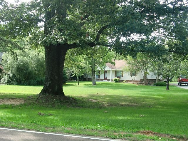 Lots of trees for shade.