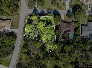 2 Ipomoea Ct, Homosassa, FL 34446