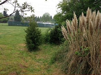 photo-311.jpg