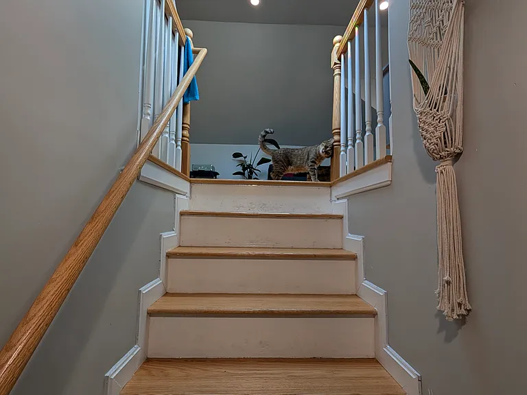 2-15 Portina Rd #2 — Photo 11