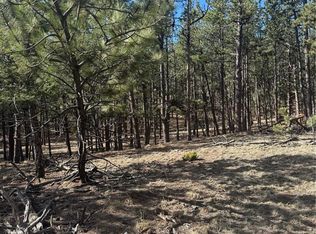 642 Matterhorn Drive LOT 7, Florissant, CO 80816