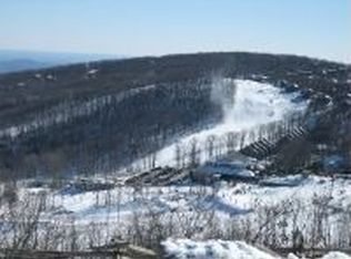 2009 Laurel Springs Dr, Wintergreen Resort, VA 22967
