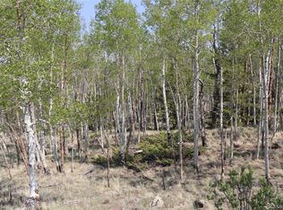 687 Corral Rd LOT 22, Hartsel, CO 80449