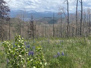 100 County Road 4110, Granby, CO 80446
