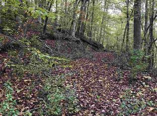 Wasena Ln, Rutherfordton, NC 28139