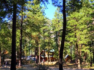 18 Bitterbrush Rd, Winthrop, WA 98862