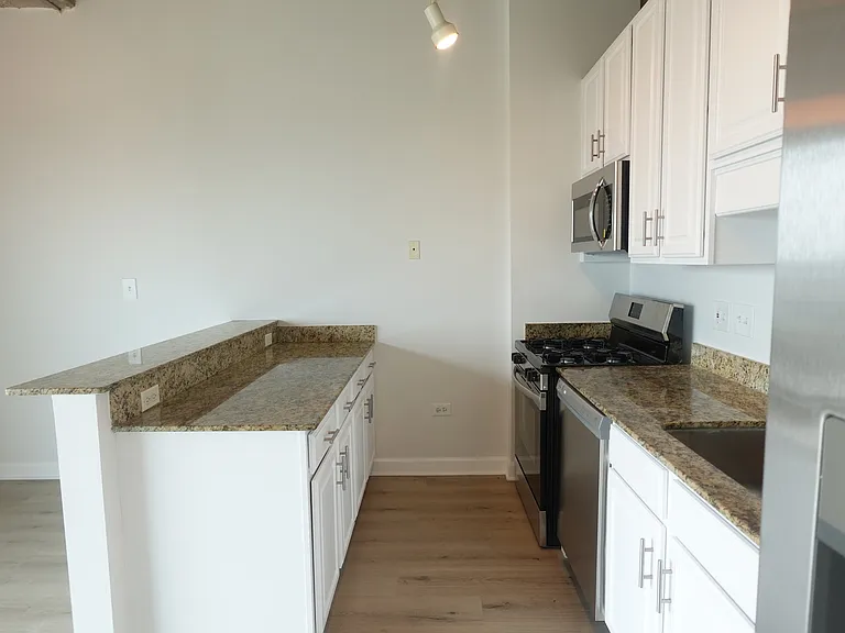 1550 S Blue Island Ave #1022 — Photo 14