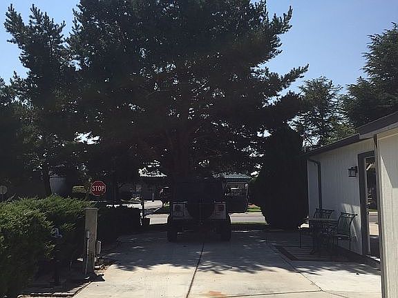 4th image of 802 N Wild Walnut Dr