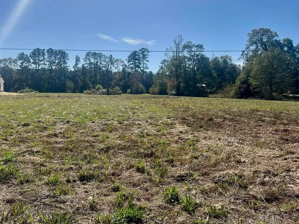 Cc 2 A & B Herman Ernest Dr, Denham Springs, LA 70706