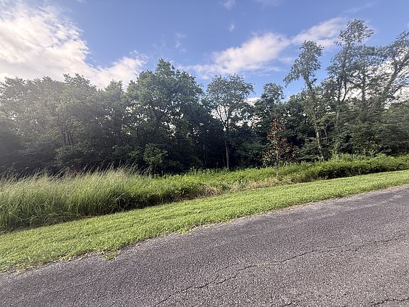 2nd image of 0 Willow Hollow Rd Lot 2