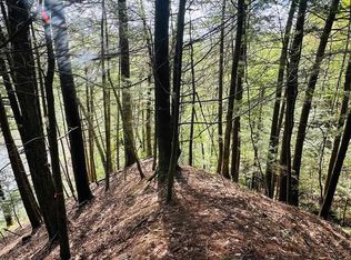 41 Old Depot Rd, Putney, VT 05346