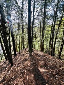 41 Old Depot Road, Putney, VT, 05346