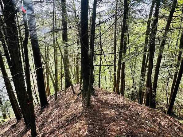 41 Old Depot Road, Putney, VT 05346