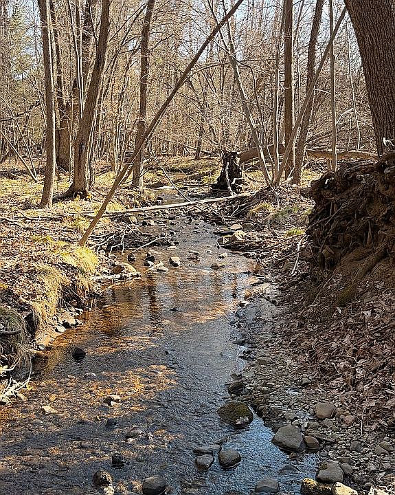 1st image of 15 Mile Rd