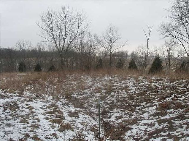 2nd image of 244 Troy Lewis Ln