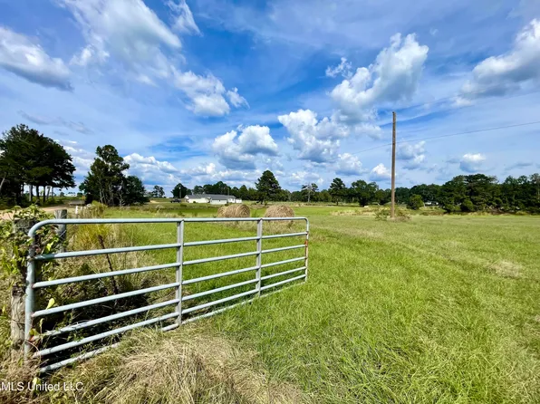 SW Dalton Ln, Smithdale, MS 39664