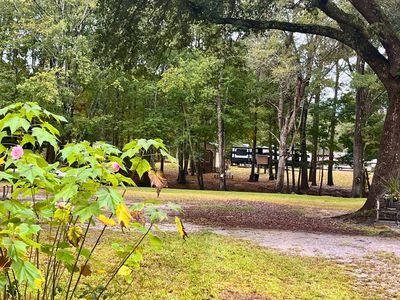 0 Catfish Ct, Ridgeville, SC, 29472