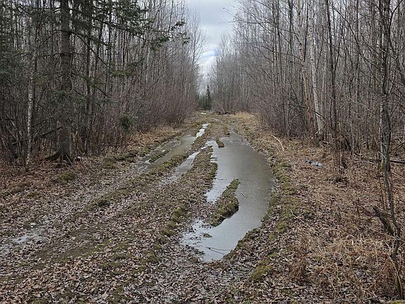 2nd image of 10918 Oja Rd