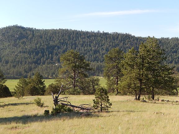3rd image of 1014 County Road 111