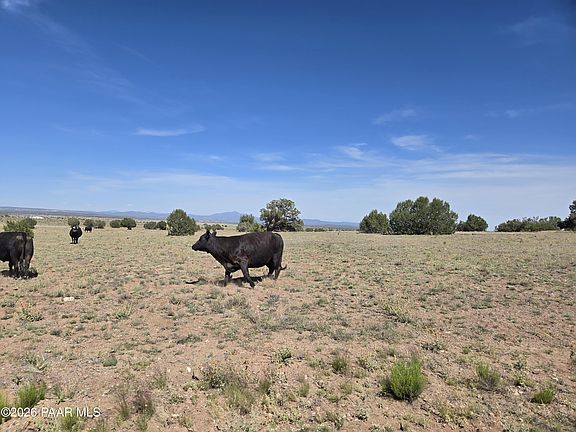 2nd image of 256D Old Antelope Run Rd