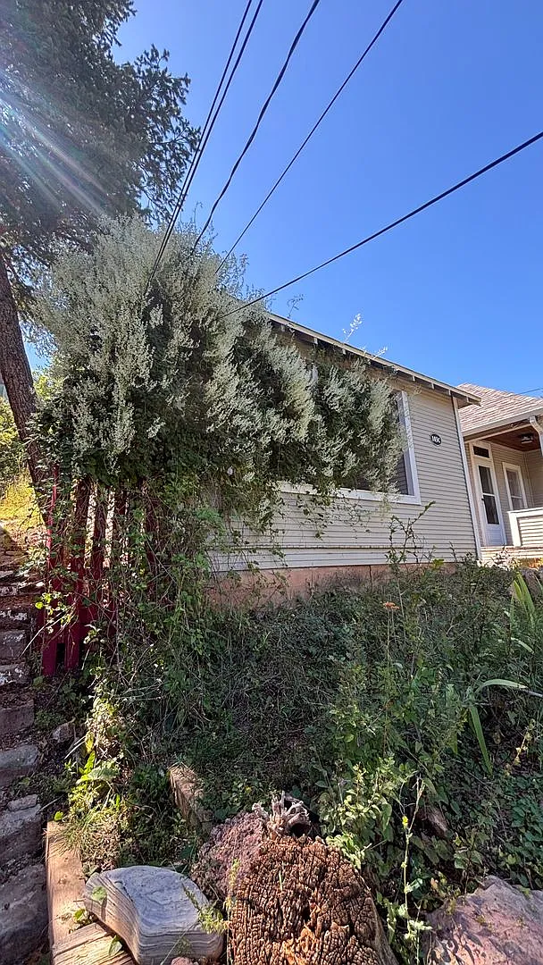 Enjoy spacious living in this 2-bedroom, 1-bath home in the heart of Manitou Springs! — Photo 3