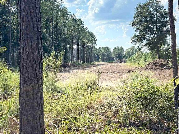 5th image of LOT 72 Posie Forest Rd