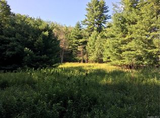 173 Bushville Swan Lake Rd, Ferndale, NY 12734