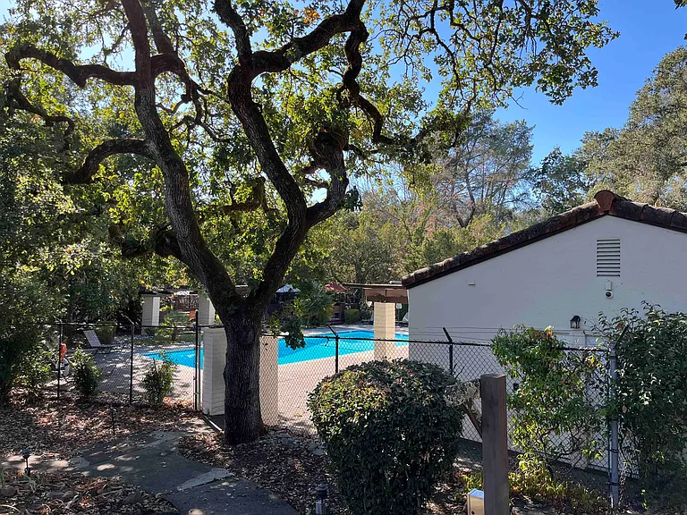905 Shadyoak Dr — Photo 15