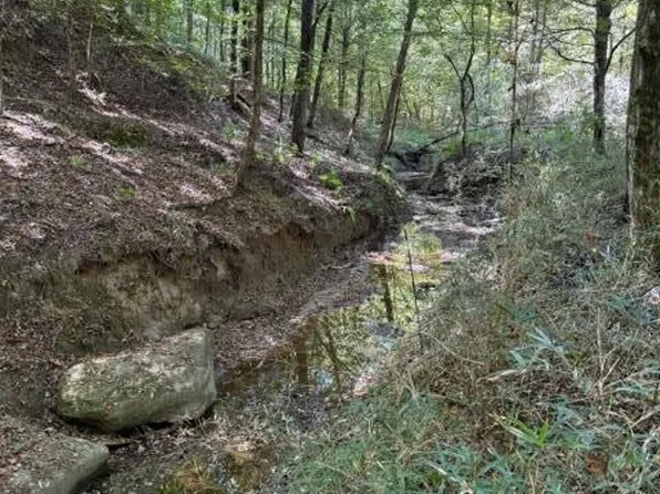 0 Rodney Rd, Pt Gibson, MS 39150