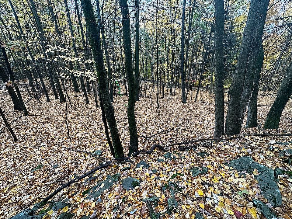 1st image of Winterberry Dr