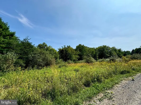 48 Warden Lake Holw #D, Wardensville, WV 26851