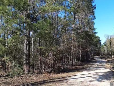 TRACT McClendon Ln #C, Amite, LA, 70422