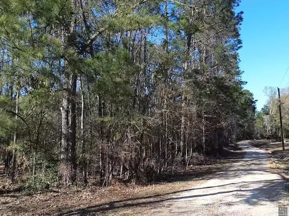 TRACT McClendon Ln #C, Amite, LA 70422