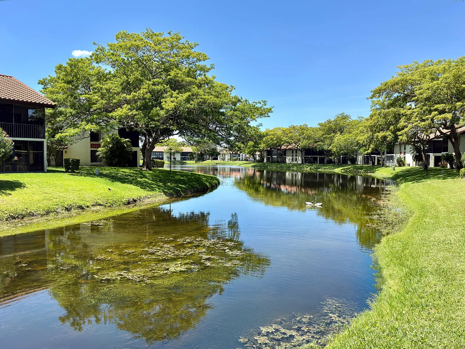 2 bed, 2.0 bath, 1330 sqft, $2,800 — Photo 3