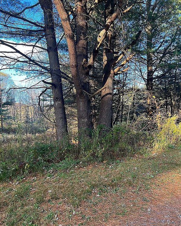 1st image of 40417 State Highway 23