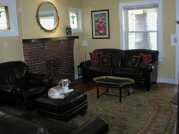 Front Room- dog not included
