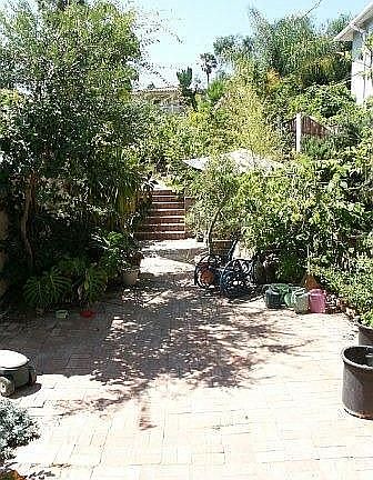 lower rear yard