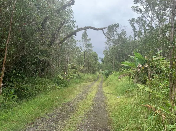Road 8 Lot 416, Volcano, HI 96785