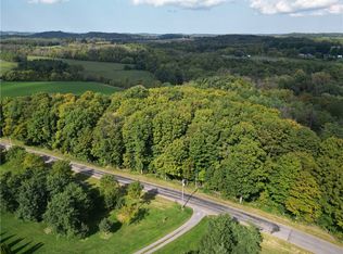 8646 Helch Rd #815, Lyons, NY 14489