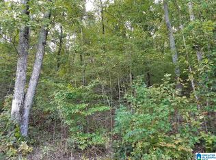 Waldrop Rd #5 & 6, Ashville, AL 35953