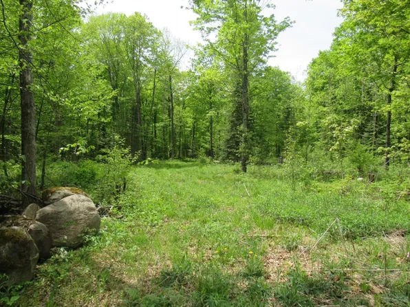 0 Trump Lake Rd, Wabeno, WI 54566