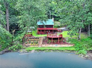 241 Blackberry Dr, Mineral Bluff, GA 30559