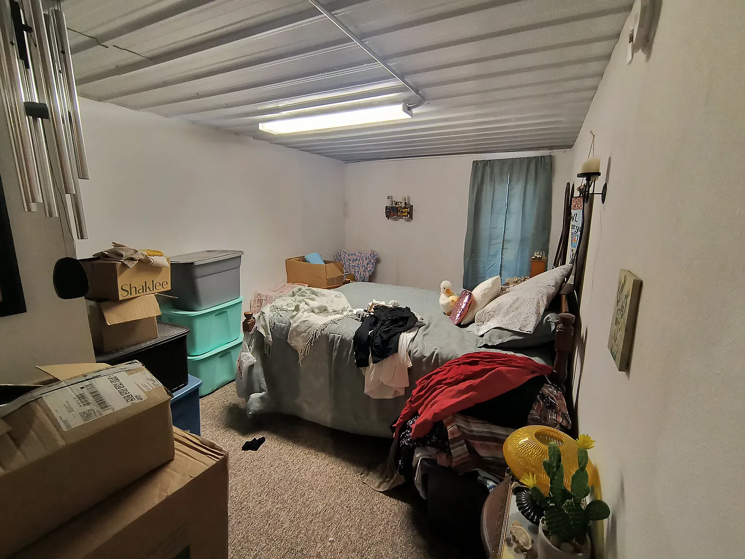 1 bed, 660 sqft, $600 — Photo 3