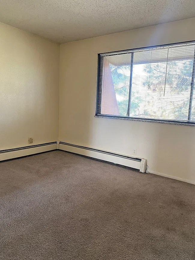 3 bed, 1.5 bath, 992 sqft, $4,800 — Photo 4