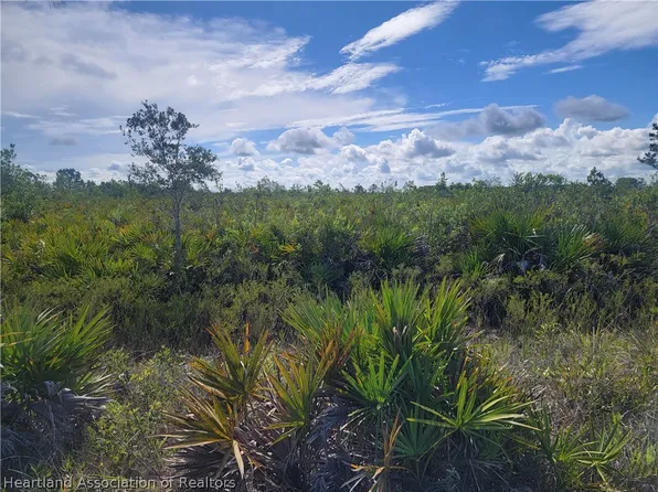 1060 Riding Dr, Lorida, FL 33857