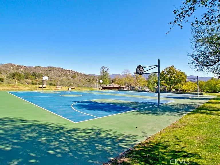 6 Coffeeberry Ct — Photo 46