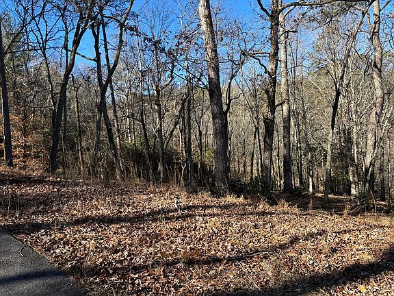 5th image of 18 Brasstown