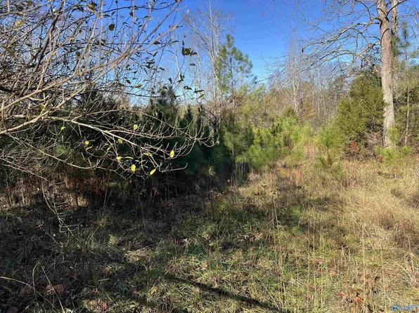 1136 Peach Orchard Rd, Menlo, GA 30731