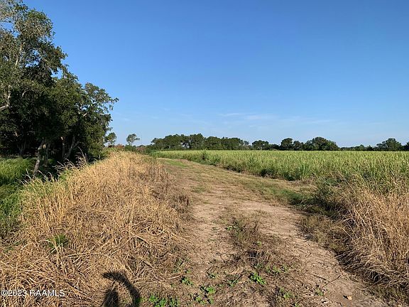 2nd image of Dalton Rd