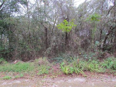 Gilmer St, New Pt Richey, FL, 34654